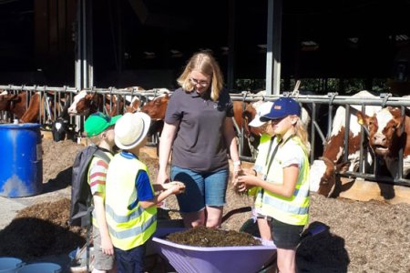 Die Kinder lernen auf dem Bauernhof, wie Kühe leben und was sie fressen.