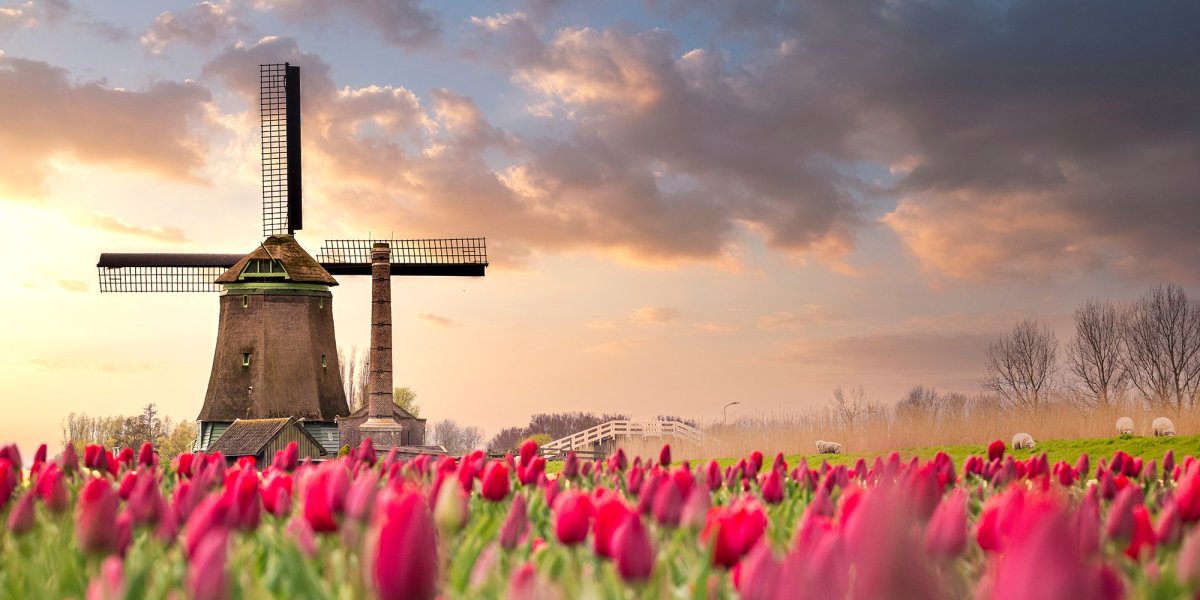 Tagesfahrt zum Keukenhof